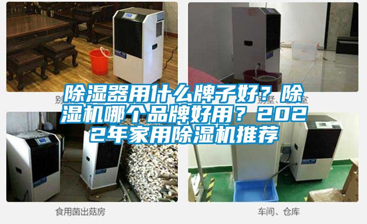 除濕器用什么牌子好？除濕機哪個品牌好用？2022年家用除濕機推薦