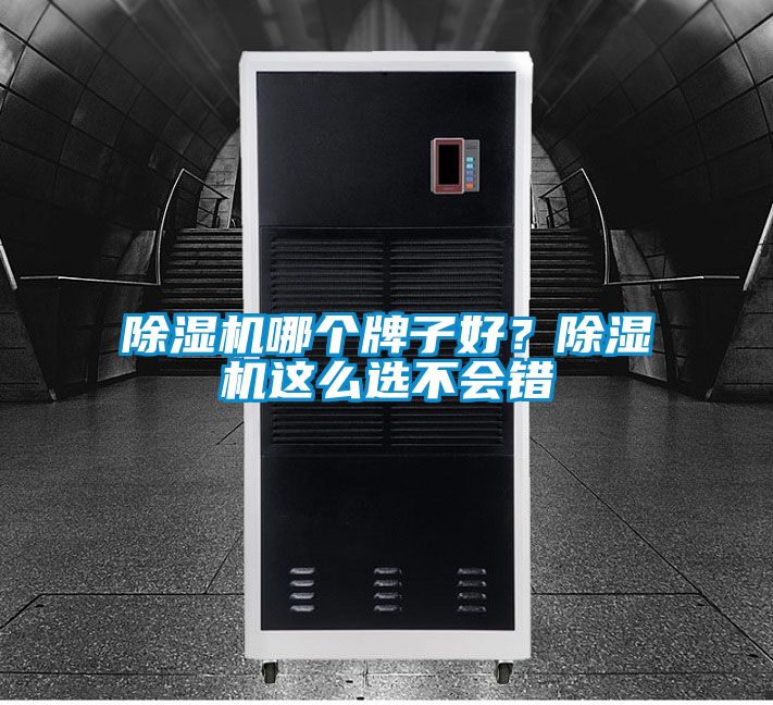 除濕機哪個牌子好？除濕機這么選不會錯