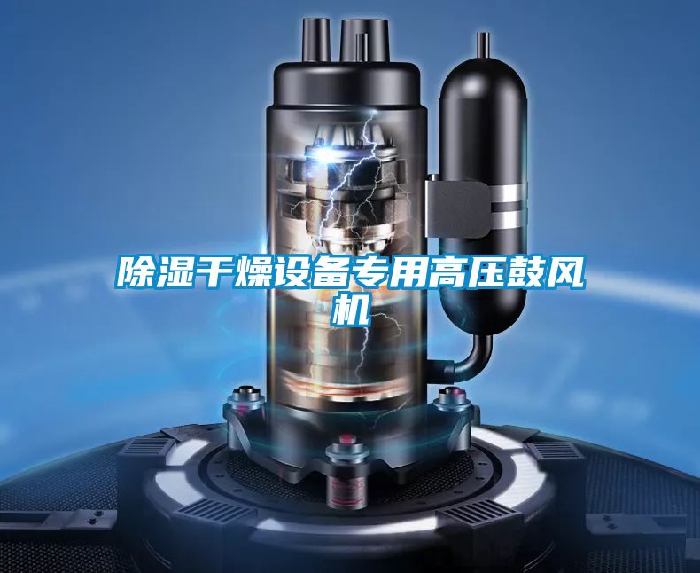 除濕干燥設(shè)備專用高壓鼓風(fēng)機(jī)