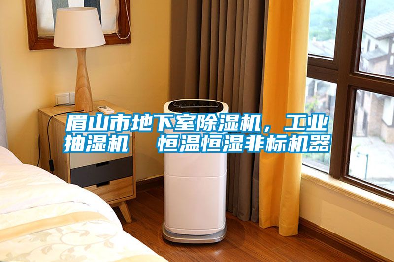 眉山市地下室除濕機，工業抽濕機  恒溫恒濕非標機器
