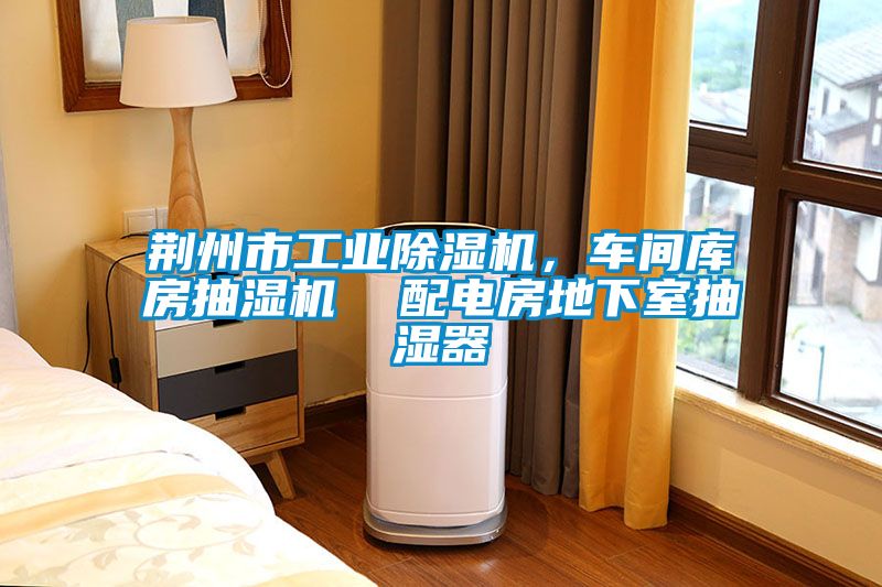 荊州市工業除濕機，車間庫房抽濕機  配電房地下室抽濕器