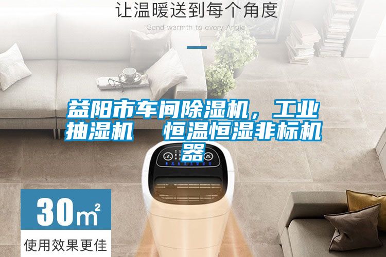 益陽市車間除濕機，工業抽濕機  恒溫恒濕非標機器