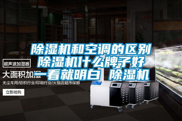 除濕機和空調的區(qū)別 除濕機什么牌子好 一看就明白 除濕機
