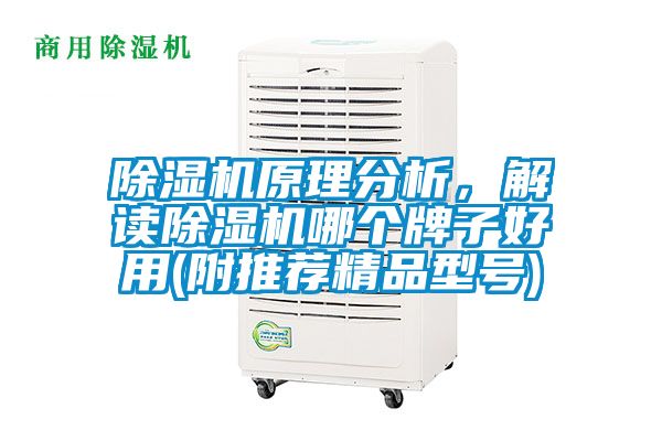 除濕機原理分析,解讀除濕機哪個牌子好用(附推薦精品型號)