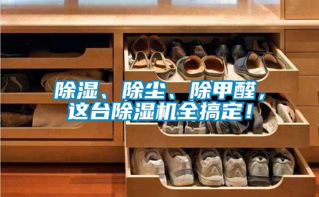 除濕、除塵、除甲醛，這臺除濕機全搞定！