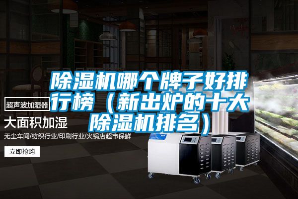 除濕機哪個牌子好排行榜(新出爐的十大除濕機排名)