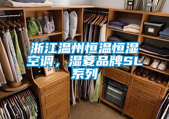 浙江溫州恒溫恒濕空調，濕菱品牌SL系列