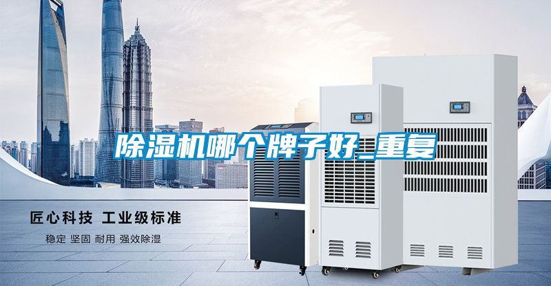 除濕機哪個牌子好_重復(fù)