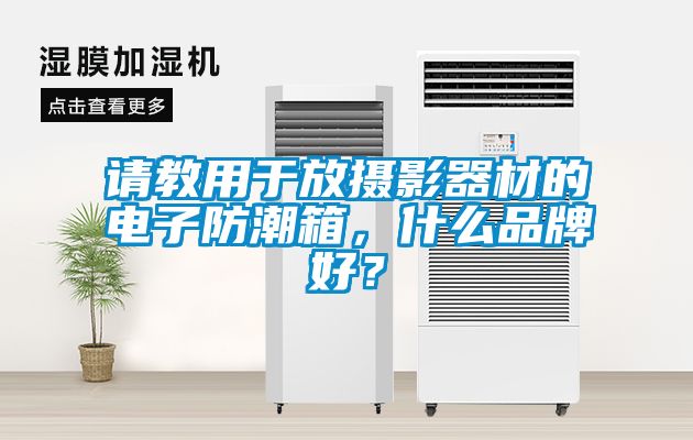 請教用于放攝影器材的電子防潮箱，什么品牌好？