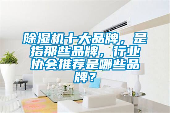 除濕機十大品牌，是指那些品牌，行業(yè)協(xié)會推薦是哪些品牌？