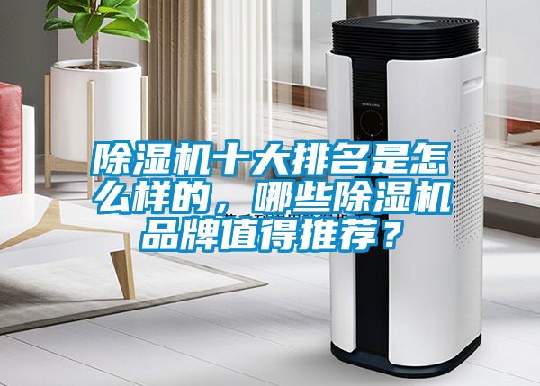 除濕機十大排名是怎么樣的，哪些除濕機品牌值得推薦？