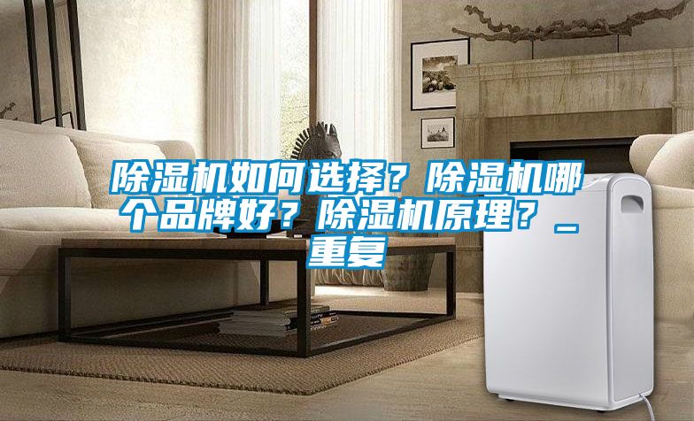 除濕機如何選擇?除濕機哪個品牌好?除濕機原理?_重復(fù)