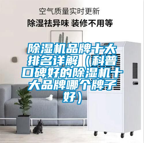 除濕機(jī)品牌十大排名詳解（科普口碑好的除濕機(jī)十大品牌哪個牌子好）