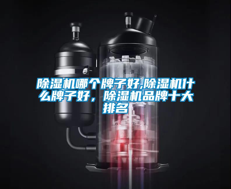 除濕機哪個牌子好,除濕機什么牌子好，除濕機品牌十大排名
