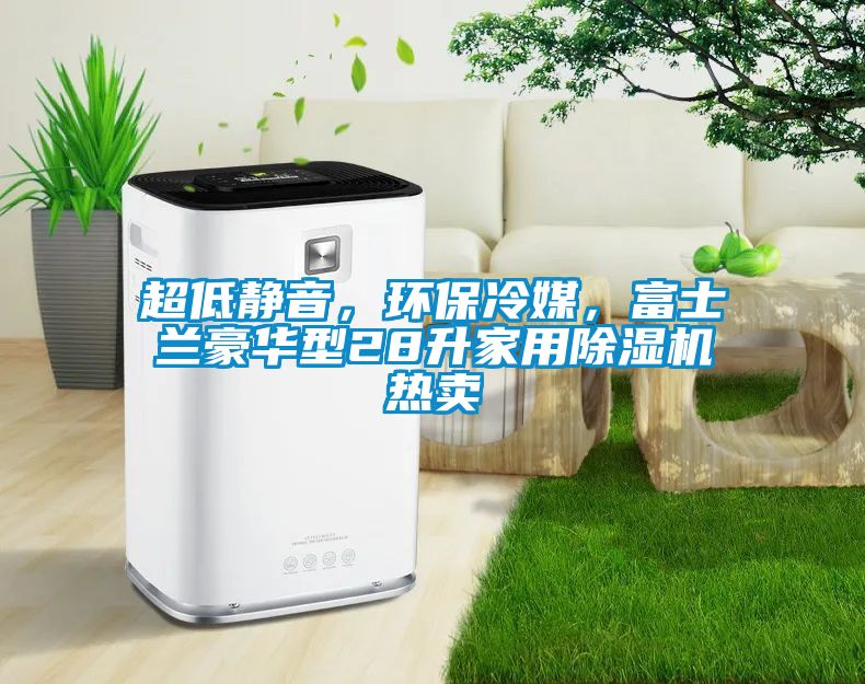 超低靜音,環(huán)保冷媒,富士蘭豪華型28升家用除濕機熱賣