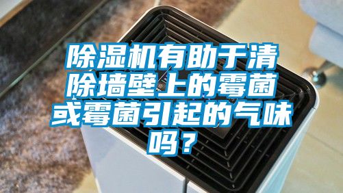 除濕機有助于清除墻壁上的霉菌或霉菌引起的氣味嗎？
