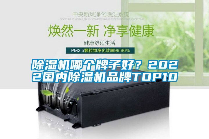 除濕機哪個牌子好?2022國內除濕機品牌TOP10