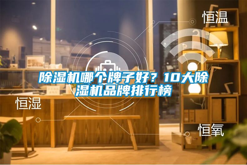 除濕機哪個牌子好?10大除濕機品牌排行榜