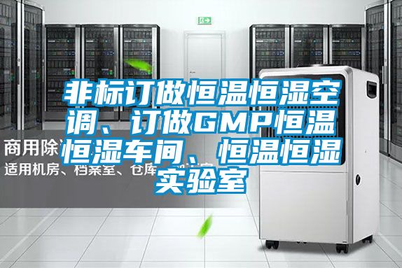 非標訂做恒溫恒濕空調(diào)、訂做GMP恒溫恒濕車間、恒溫恒濕實驗室