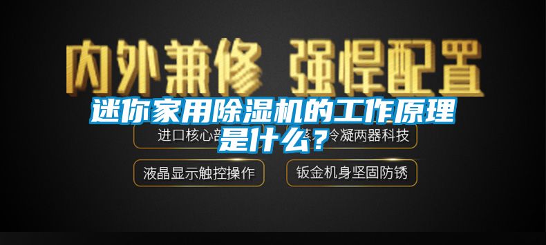 迷你家用除濕機的工作原理是什么？