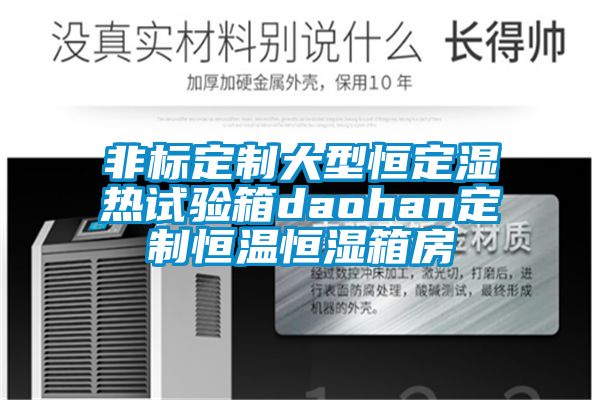 非標(biāo)定制大型恒定濕熱試驗箱daohan定制恒溫恒濕箱房