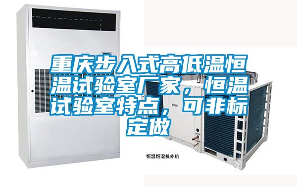 重慶步入式高低溫恒溫試驗(yàn)室廠家，恒溫試驗(yàn)室特點(diǎn)，可非標(biāo)定做