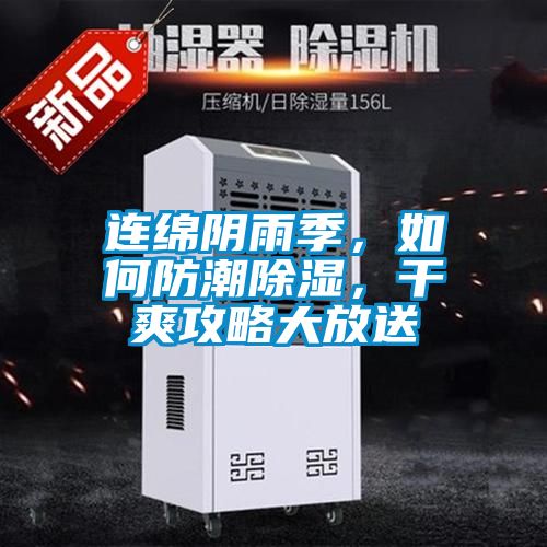 連綿陰雨季，如何防潮除濕，干爽攻略大放送