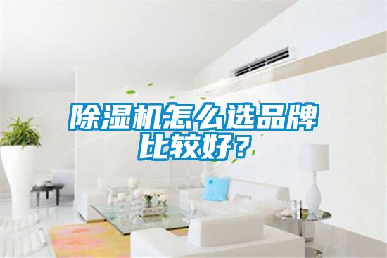 除濕機怎么選品牌比較好？