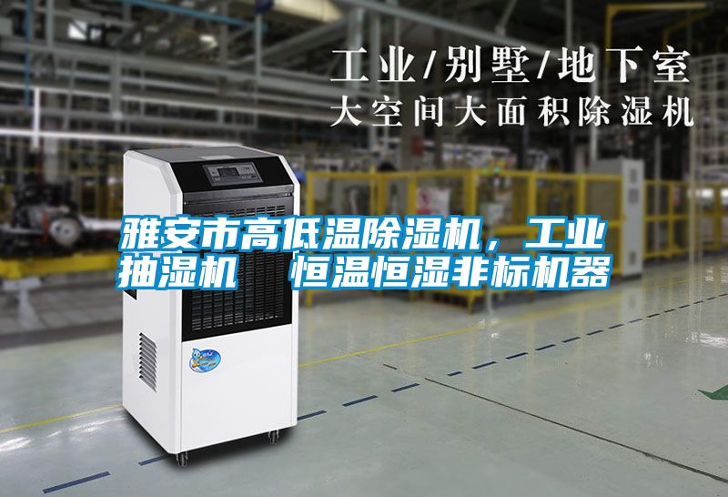 雅安市高低溫除濕機，工業抽濕機  恒溫恒濕非標機器