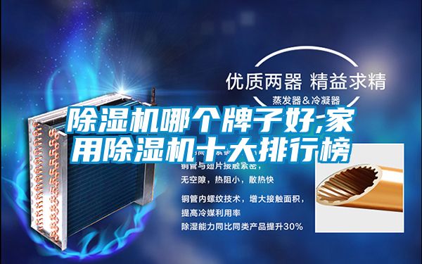 除濕機哪個牌子好,家用除濕機十大排行榜