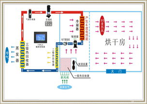 15P大型水果清洗烘干干燥設(shè)備生產(chǎn)線 智能清潔機械引領(lǐng)行業(yè)革新